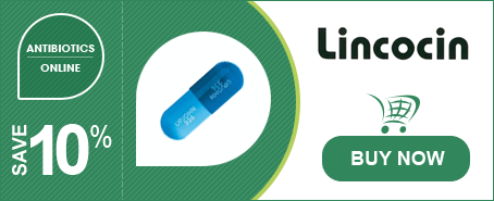 Buy Lincocin Online